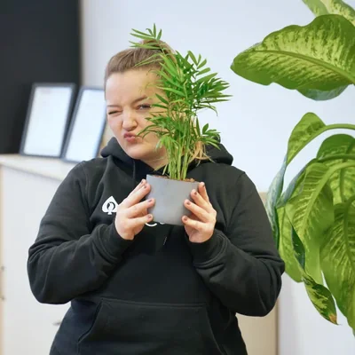 Alina Agostino, Projektmanagerin, mit einer Pflanze im Arm im Büro